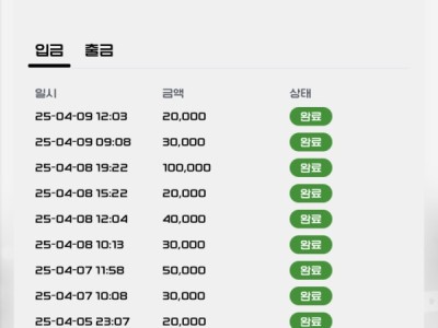 버디 후기
