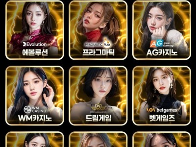 볼트카지노 추천합니다