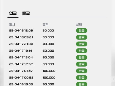 버디 후기