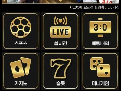 지그벳후기