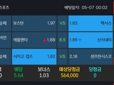 알파카지노 후기