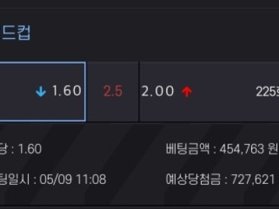 알파카지노 후기