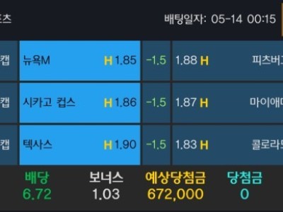 알파카지노 후기
