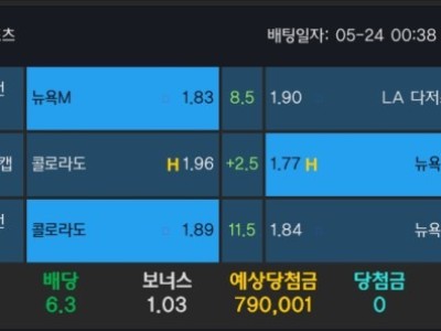 알파카지노 후기