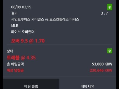 로이더 사이트 후기