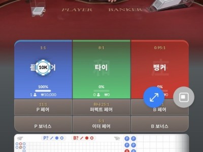 비제휴 프리카후기