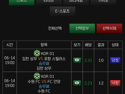 레고벳 찐후기