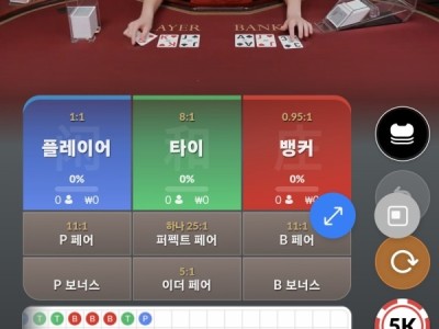 비제휴 프리카후기