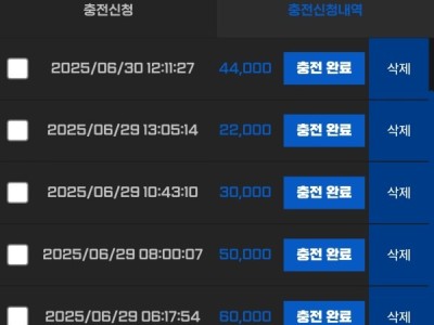 비제휴 하이벳 후기