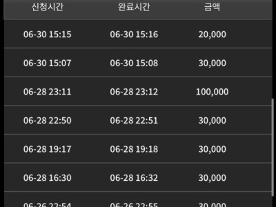 버디후기