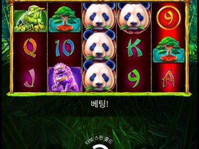 알파카지노 후기
