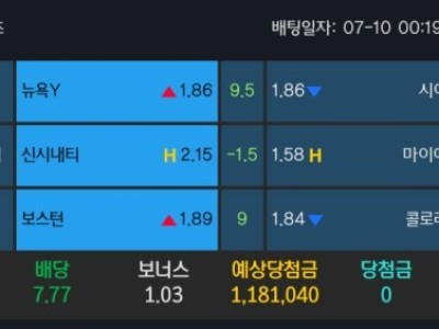 알파카지노 후기