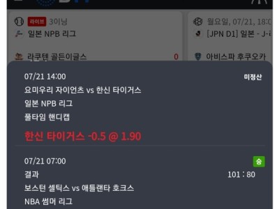 라쿤이라는곳들어보셨나요