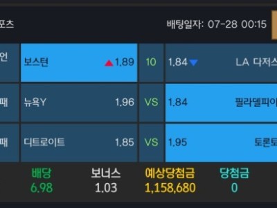 알파카지노 후기