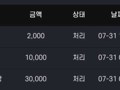 비제휴 미스터XXX 후기
