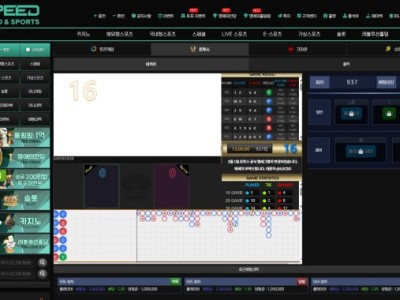 스피드 로투스 후기