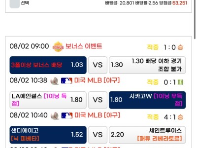 라쿤후기