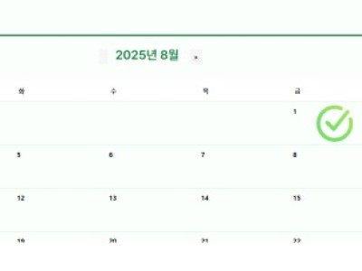 라이즈후기