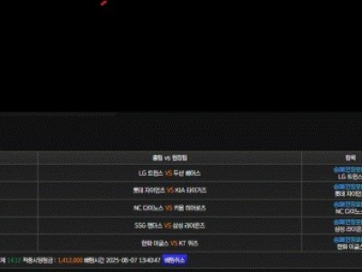 스피드후기