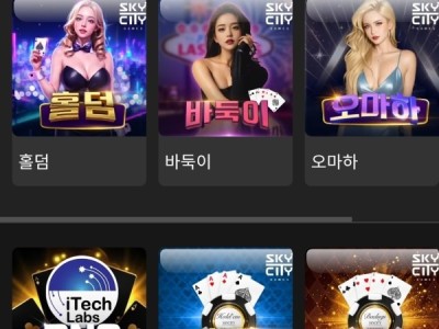 비제휴후기