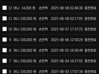 스피드 후기