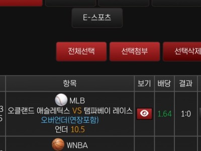 오늘도 부자벳 후기❤️