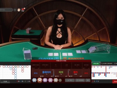 보증업체 스피드 후기