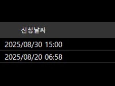 볼트카지노 후기입니다