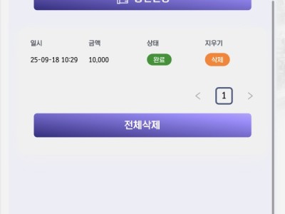 비제류후기