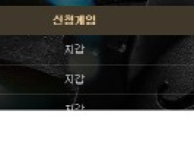 비제휴 메가후기