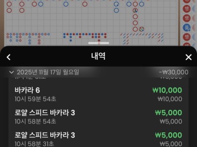 나루토 카지노 후기