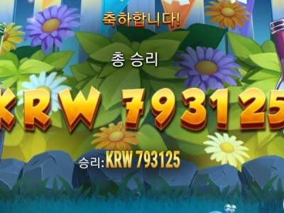 메가후기 럭키이벤트