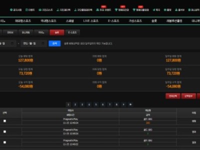 스피드이용후기