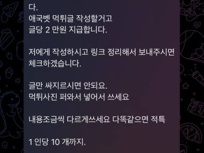 애국벳 후기