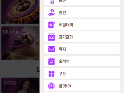 블링벳 후기