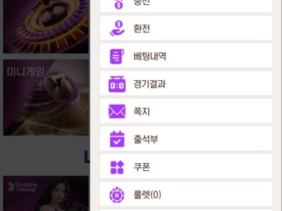 블링벳 후기