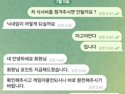 범퍼카