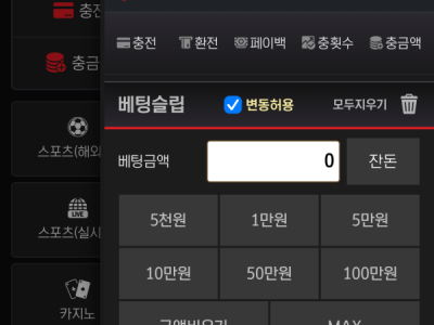 범퍼카 후기